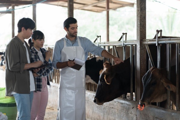 Travailleurs agricoles : une nouvelle aide à la promotion collective agricole